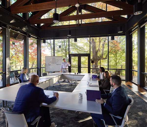 Tree house conference room